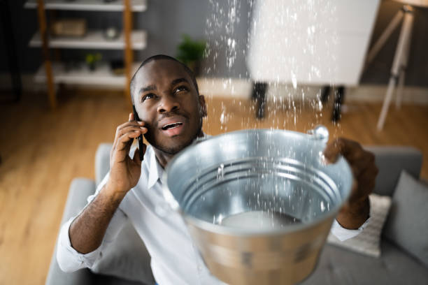 Best Water damage contractors near me  in Jesup, GA