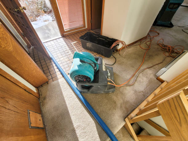 Best Water damage restoration company  in Jesup, GA