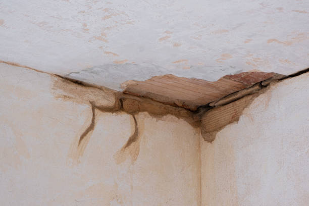 Best Water damage restoration services  in Jesup, GA