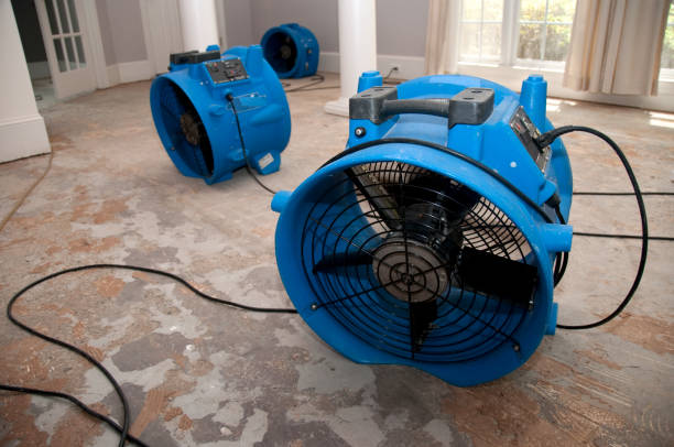 Best Water damage contractors near me  in Jesup, GA