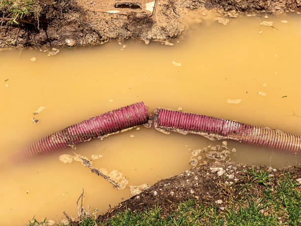 Best Residential water damage restoration  in Jesup, GA