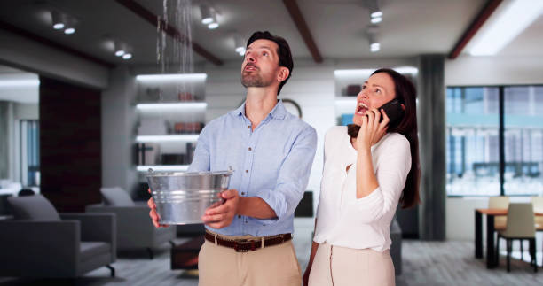 Best Professional water damage repair  in Jesup, GA