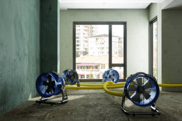 Best Water damage restoration near me  in Jesup, GA