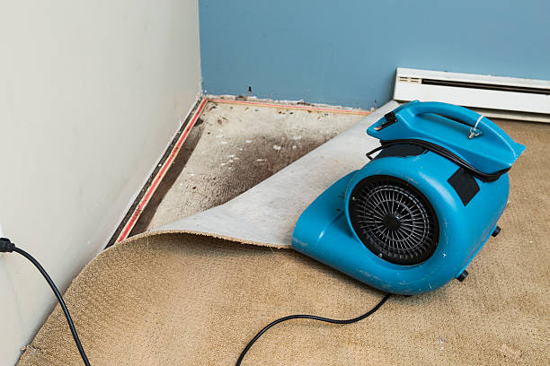 24/7 water damage repair in Jesup, GA